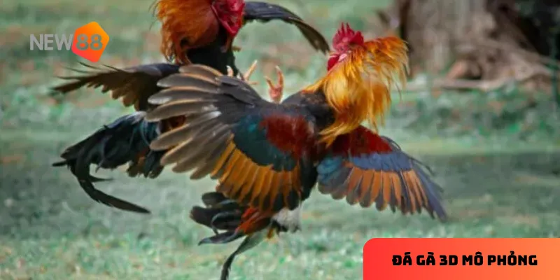 Đá gà 3D mô phỏng – trải nghiệm thực tế với công nghệ hiện đại 3 Nắm bắt thông tin về giống gà là yếu tố quyết định trong các trận đấu đá gà 3D.